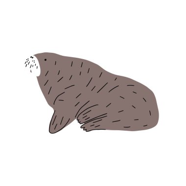 Cute walrus in Scandinavian style on a white background. Vector hand drawn kids illustration. Sea ocean. Underwater world