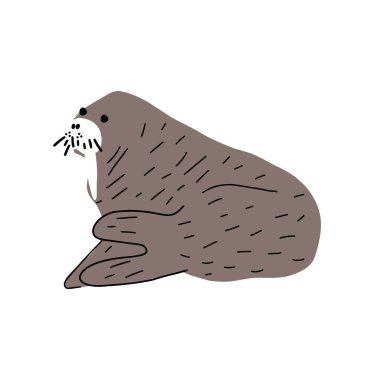 Cute walrus in Scandinavian style on a white background. Vector hand drawn kids illustration. Sea ocean. Underwater world