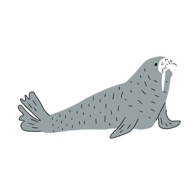 Cute walrus in Scandinavian style on a white background. Vector hand drawn kids illustration. Sea ocean. Underwater world
