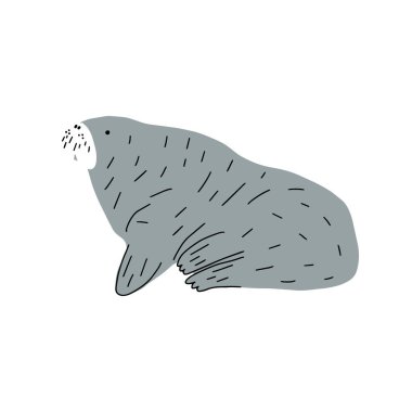 Cute walrus in Scandinavian style on a white background. Vector hand drawn kids illustration. Sea ocean. Underwater world