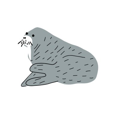 Cute walrus in Scandinavian style on a white background. Vector hand drawn kids illustration. Sea ocean. Underwater world
