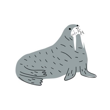 Cute walrus in Scandinavian style on a white background. Vector hand drawn kids illustration. Sea ocean. Underwater world
