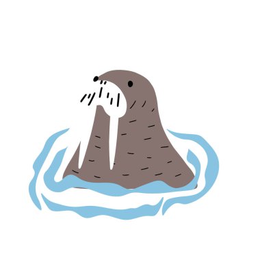 Cute walrus in Scandinavian style on a white background. Vector hand drawn kids illustration. Sea ocean. Underwater world