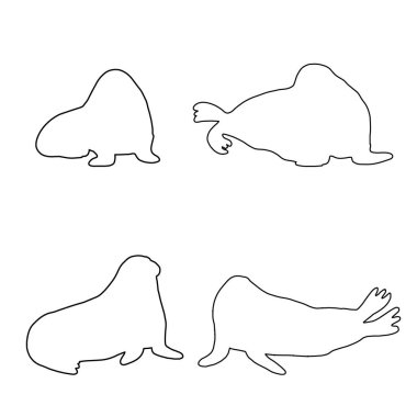 Cute walrus line silhouette on a white background. Vector hand drawn kids illustration. Sea ocean. Underwater world