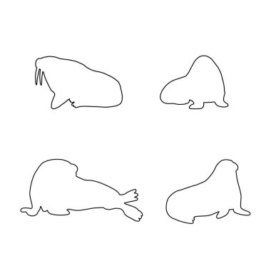 Cute walrus line silhouette on a white background. Vector hand drawn kids illustration. Sea ocean. Underwater world