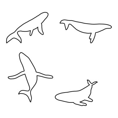 Whale, black line silhouette ocean animal. Sealife in Scandinavian style on a white background. Great for poster, card, apparel print. Vector illustration