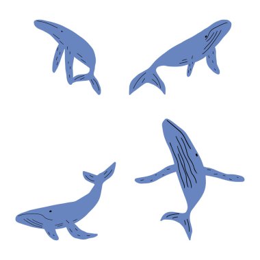 Whale, ocean aniaml. Sealife in Scandinavian style on a white background. Great for poster, card, apparel print. Vector illustration