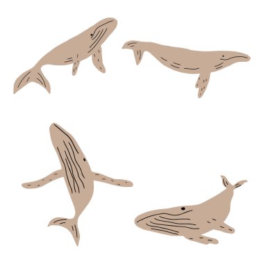 Whale, ocean aniaml. Sealife in Scandinavian style on a white background. Great for poster, card, apparel print. Vector illustration