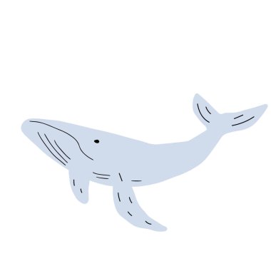 Whale, ocean aniaml. Sealife in Scandinavian style on a white background. Great for poster, card, apparel print. Vector illustration