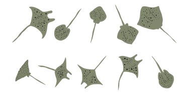 Stingray Balığı Karakteri derin arka planda Karadeniz Hayvanı. Vahşi yaşam çizimi. Vektör illüstrasyonu.