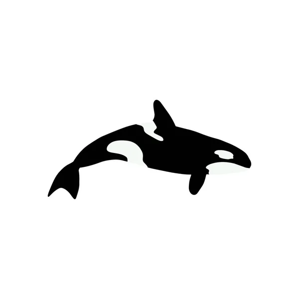 Wieloryby Orki Morskie Orki Zabójcy Zwierząt Zwierzęta Morskie Stylu Skandynawskim — Wektor stockowy