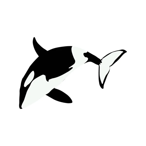 Paus Orca Paus Pembunuh Hewan Laut Hewan Laut Dalam Gaya - Stok Vektor