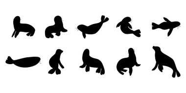 Seal Character sea animal on deep background. Wild life illustration. Underwear world. Vector illustration.