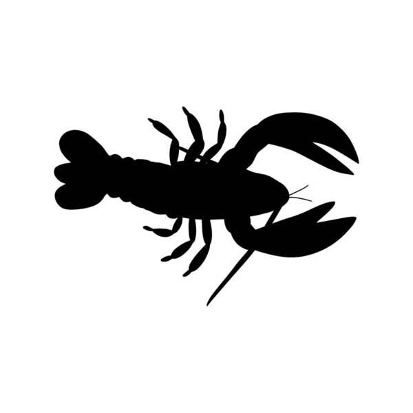Crayfish Character sea animal on deep background. Wild life illustration. Underwear world. Vector illustration.