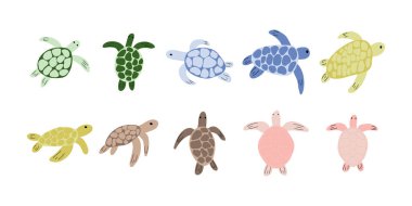 Kaplumbağa karakteri derin arka planda deniz hayvanı. Vahşi yaşam çizimi. İç çamaşırı dünyası. Vektör illüstrasyonu.