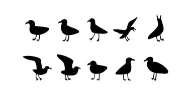 Martı. Atlantik deniz kuşu. Beyaz arkaplanda Deniz Hayvanı Vektörü illüstrasyonu.