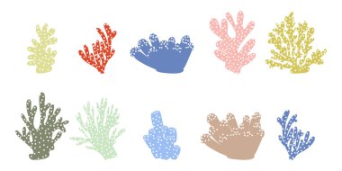 Coral. Underwater element. Vector illustration in scandinavian style. Sea ocean.
