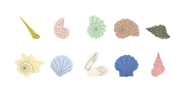 Tropical underwater seashell. Hand drawn sea mollusk shellfish element. Vector illustration in scandinavian style.