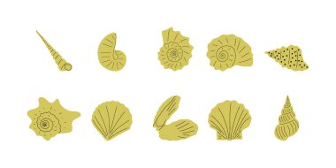Tropical underwater seashell. Hand drawn sea mollusk shellfish element. Vector illustration in scandinavian style.
