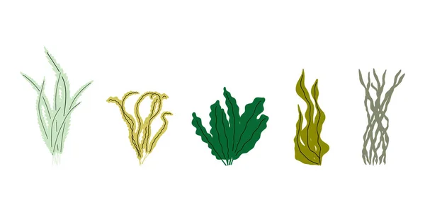 Coral Underwater Plant Vector Illustration Scandinavian Style Seaweed — Stockový vektor