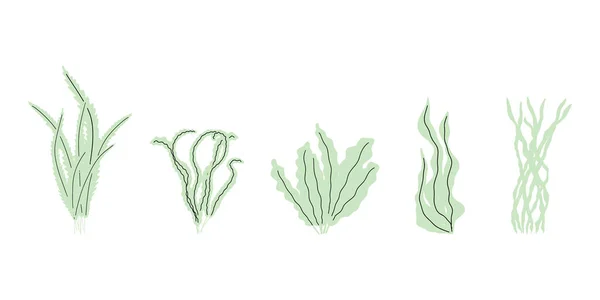 Coral Underwater Plant Vector Illustration Scandinavian Style Seaweed — Διανυσματικό Αρχείο