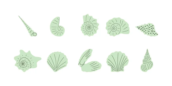 Tropical Underwater Seashell Hand Drawn Sea Mollusk Shellfish Element Vector — 图库矢量图片