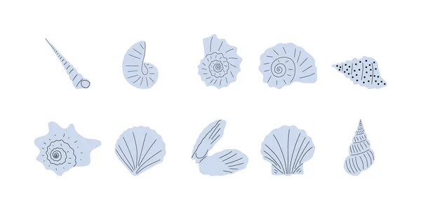 Tropical Underwater Seashell Hand Drawn Sea Mollusk Shellfish Element Vector — Vector de stock