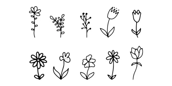 Doodle Flores Conjunto Con Flora Del Contorno Formas Simples Ilustración — Vector de stock