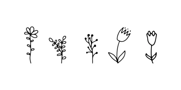 Doodle Flores Conjunto Con Flora Del Contorno Formas Simples Ilustración — Vector de stock