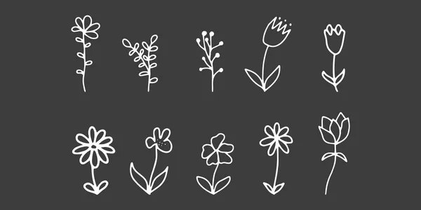 Doodle Flores Conjunto Con Flora Del Contorno Formas Simples Ilustración — Archivo Imágenes Vectoriales