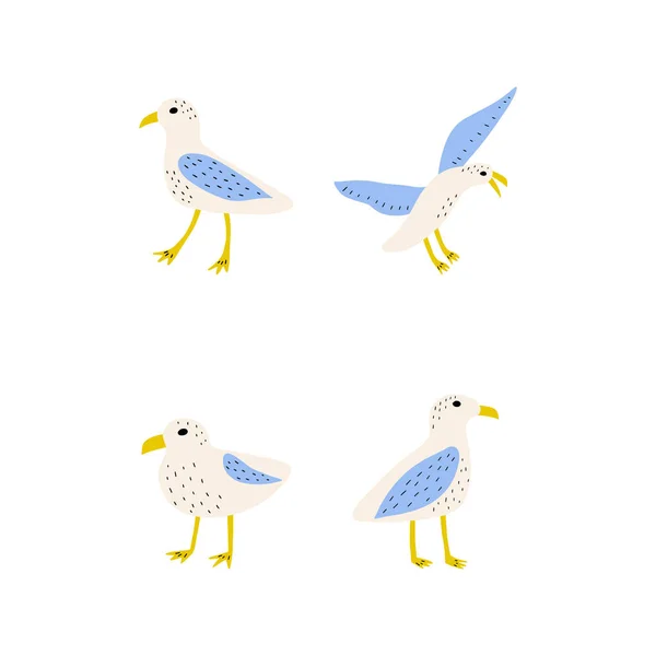 Möwe Atlantischer Seevogel Marine Animal Vector Illustration Auf Weißem Hintergrund — Stockvektor