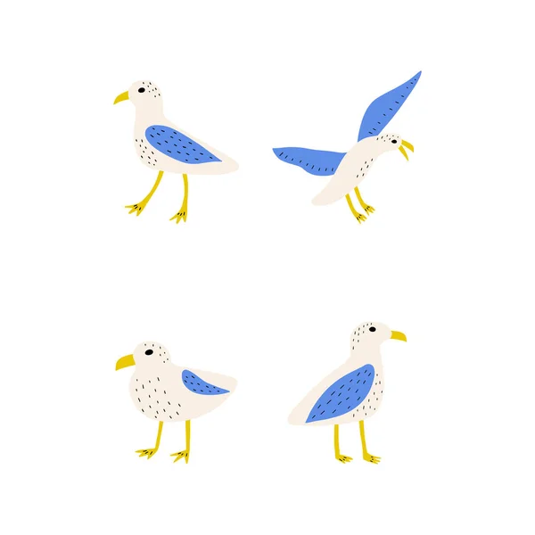 Mouette Oiseau Mer Atlantique Illustration Marine Animal Vector Sur Fond — Image vectorielle
