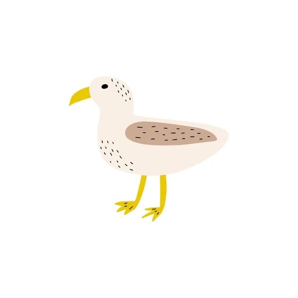 Seagull Atlantic Seabird Marine Animal Vector Illustration White Background — Stock Vector