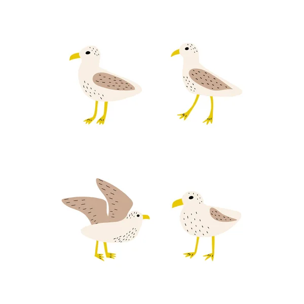 Mouette Oiseau Mer Atlantique Illustration Marine Animal Vector Sur Fond — Image vectorielle