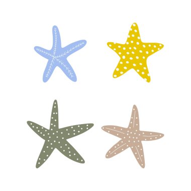 Starfish. Atlantic star. Marine Animal Vector illustration on white background.