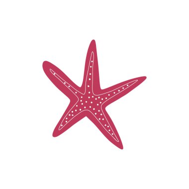 Starfish. Atlantic star. Marine Animal Vector illustration on white background.