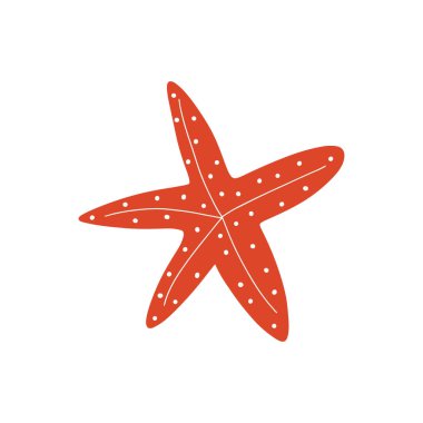 Starfish. Atlantic star. Marine Animal Vector illustration on white background.