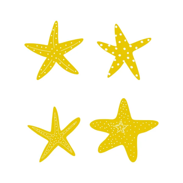 Starfish Atlantic Star Marine Animal Vector Illustration White Background — Διανυσματικό Αρχείο