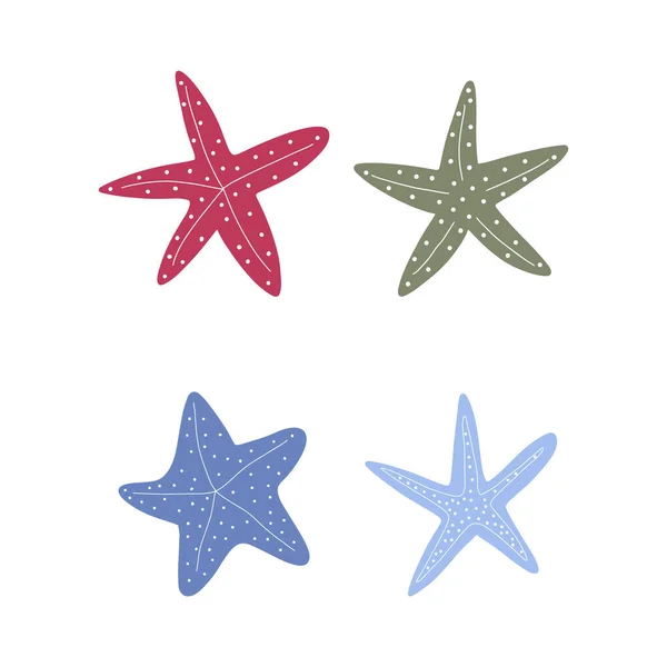 Starfish Atlantic Star Marine Animal Vector Illustration White Background — Stockvector