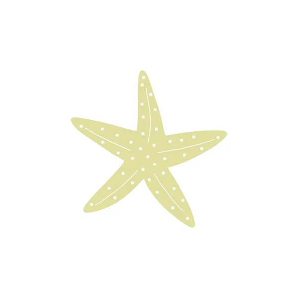 Estrella Mar Estrella Atlántica Ilustración Del Vector Animal Marino Sobre — Vector de stock
