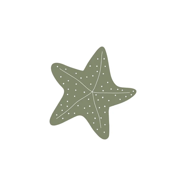Étoile Mer Star Atlantique Illustration Marine Animal Vector Sur Fond — Image vectorielle