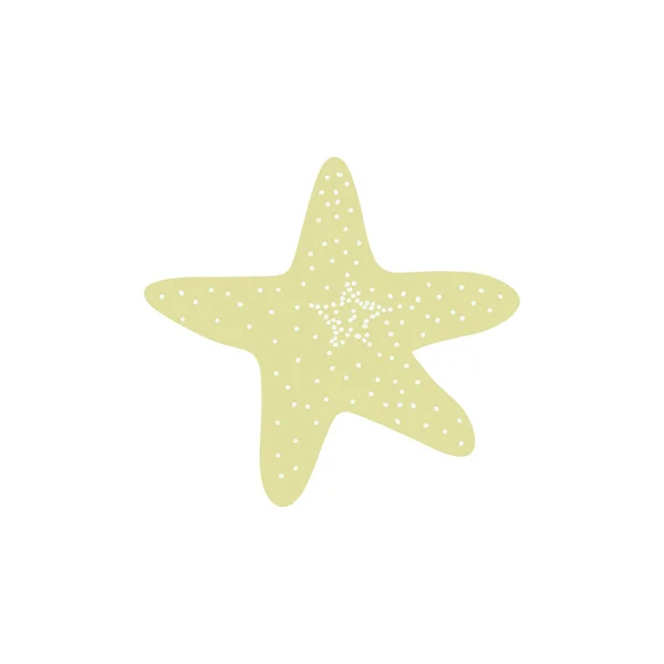 Estrella Mar Estrella Atlántica Ilustración Del Vector Animal Marino Sobre — Vector de stock