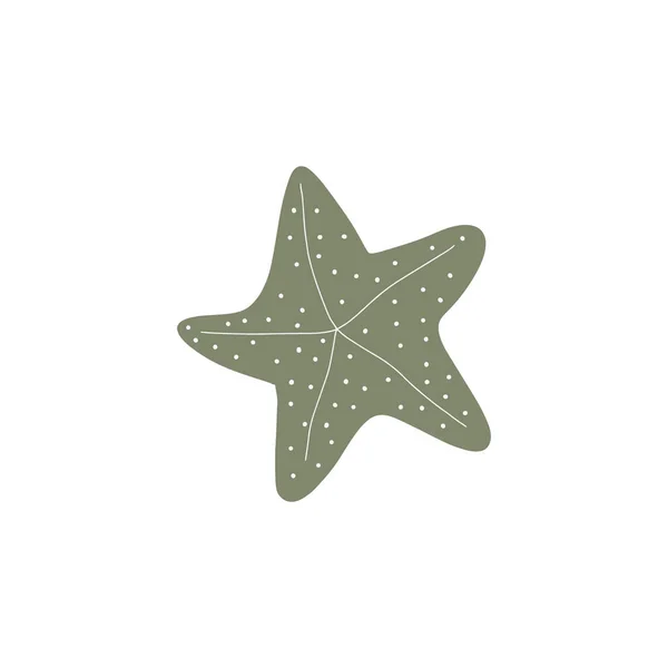 ヒトデ 大西洋の星 白を背景にした海洋動物ベクターイラスト — ストックベクタ