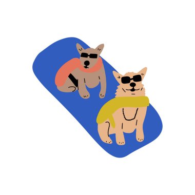 Köpek tatilde. Şişme yatakta yüzen şirin bir hayvan dinleniyor..