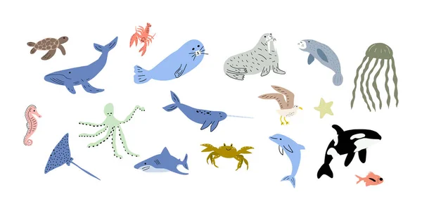 물총새 돌고래 불가사리 해파리 바다표범등등 아이들 일러스트 — 스톡 벡터