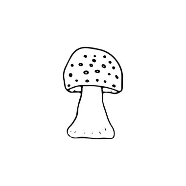 Mantar, her amaç için harika bir tasarım. Doodle vektör çizimi. Yenilebilir mantarlar ve mantarlar. Sağlıklı gıda çizimi. Sonbahar orman bitkileri tekstil, duvar kâğıdı, boyama için eskizler