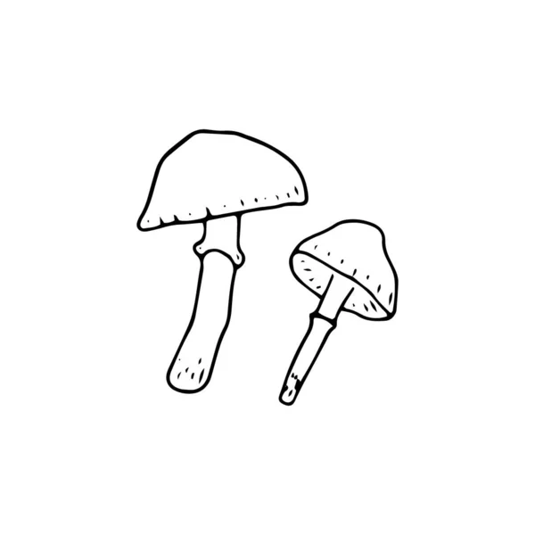 Fungo Grande Design Qualsiasi Scopo Illustrazione Del Vettore Doodle Funghi — Vettoriale Stock