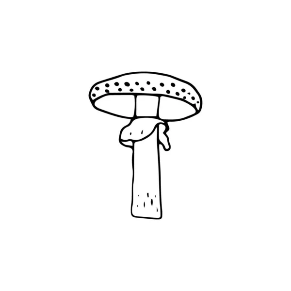 Jamur Desain Besar Untuk Tujuan Apapun Ilustrasi Vektor Doodle Jamur - Stok Vektor