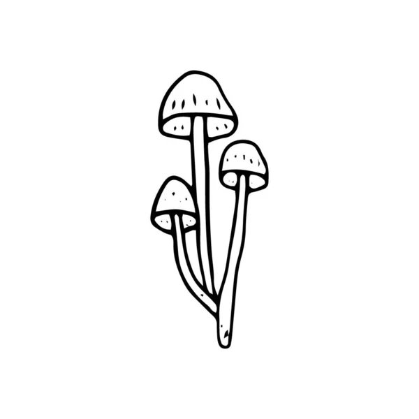 Fungo Grande Design Qualsiasi Scopo Illustrazione Del Vettore Doodle Funghi — Vettoriale Stock