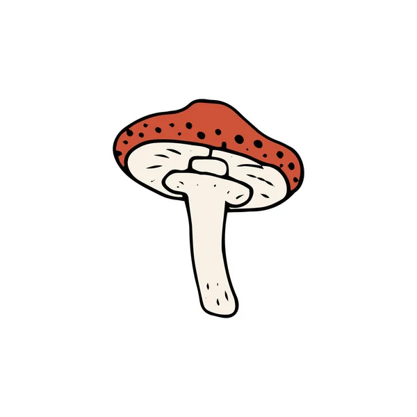 任何目的的伟大设计 数字矢量图解 食用蘑菇和毒菌 健康食品说明 纺织品 着色用秋季森林植物草图 — 图库矢量图片